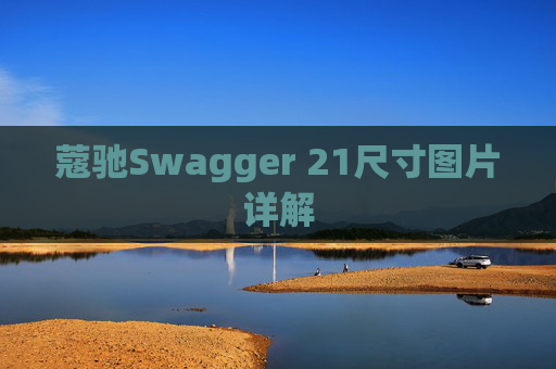 蔻驰Swagger 21尺寸图片详解